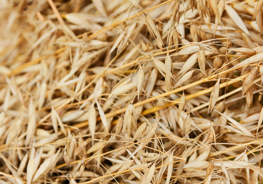 Beta-Glucan