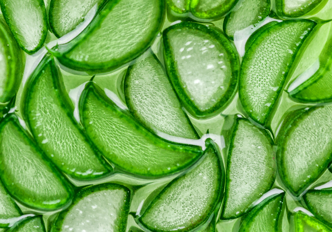 Aloe Vera