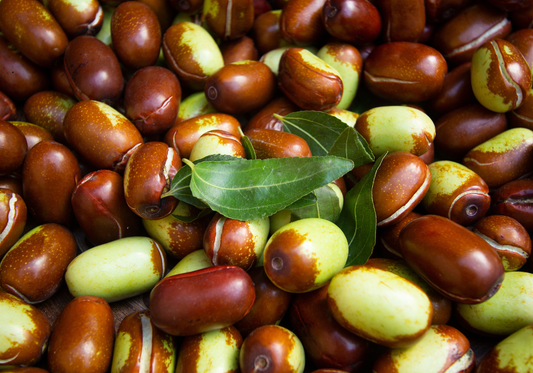 Jojoba