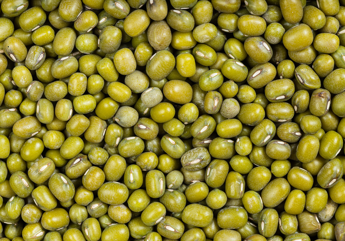 Mungobohnen