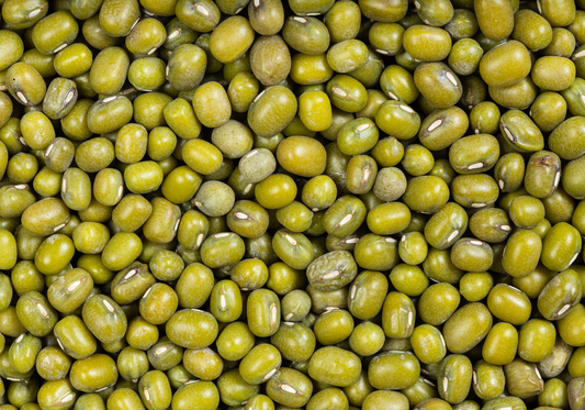 Mungobohnen