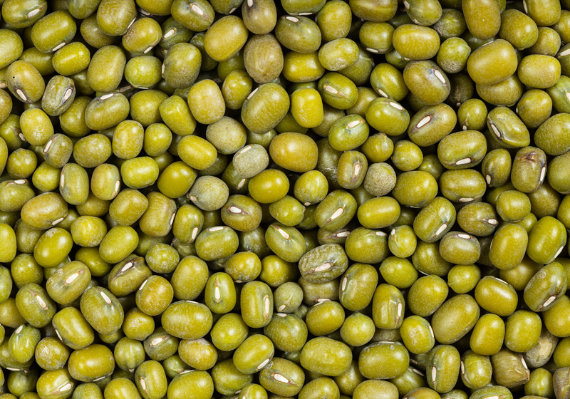 Mungobohnen