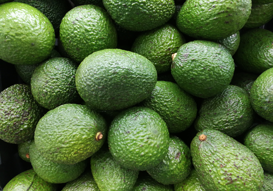 Avocado