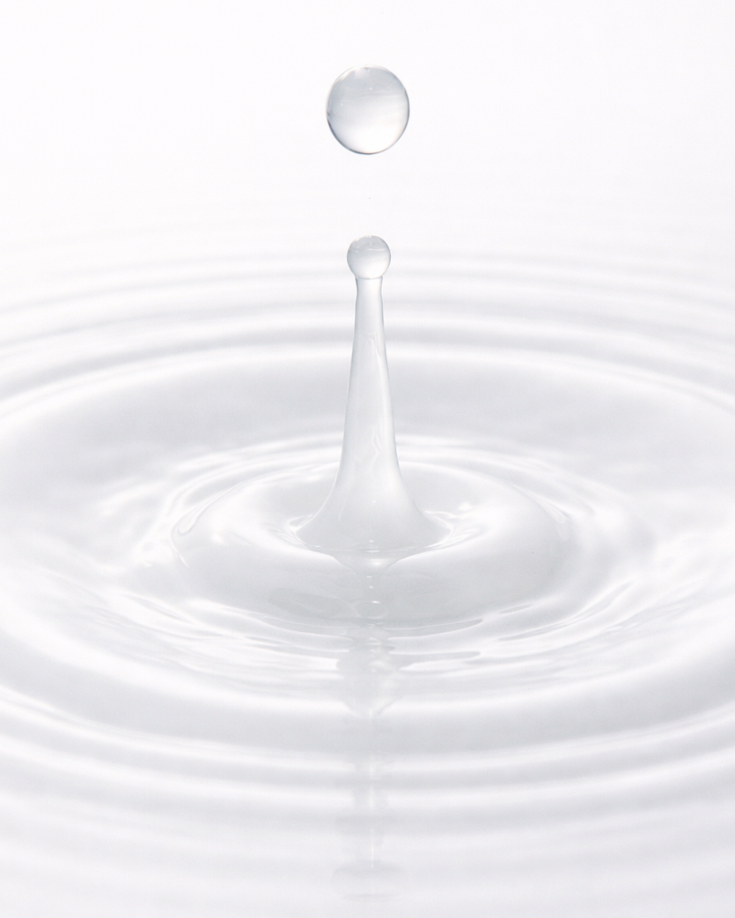 White Recipe Brightening Toner