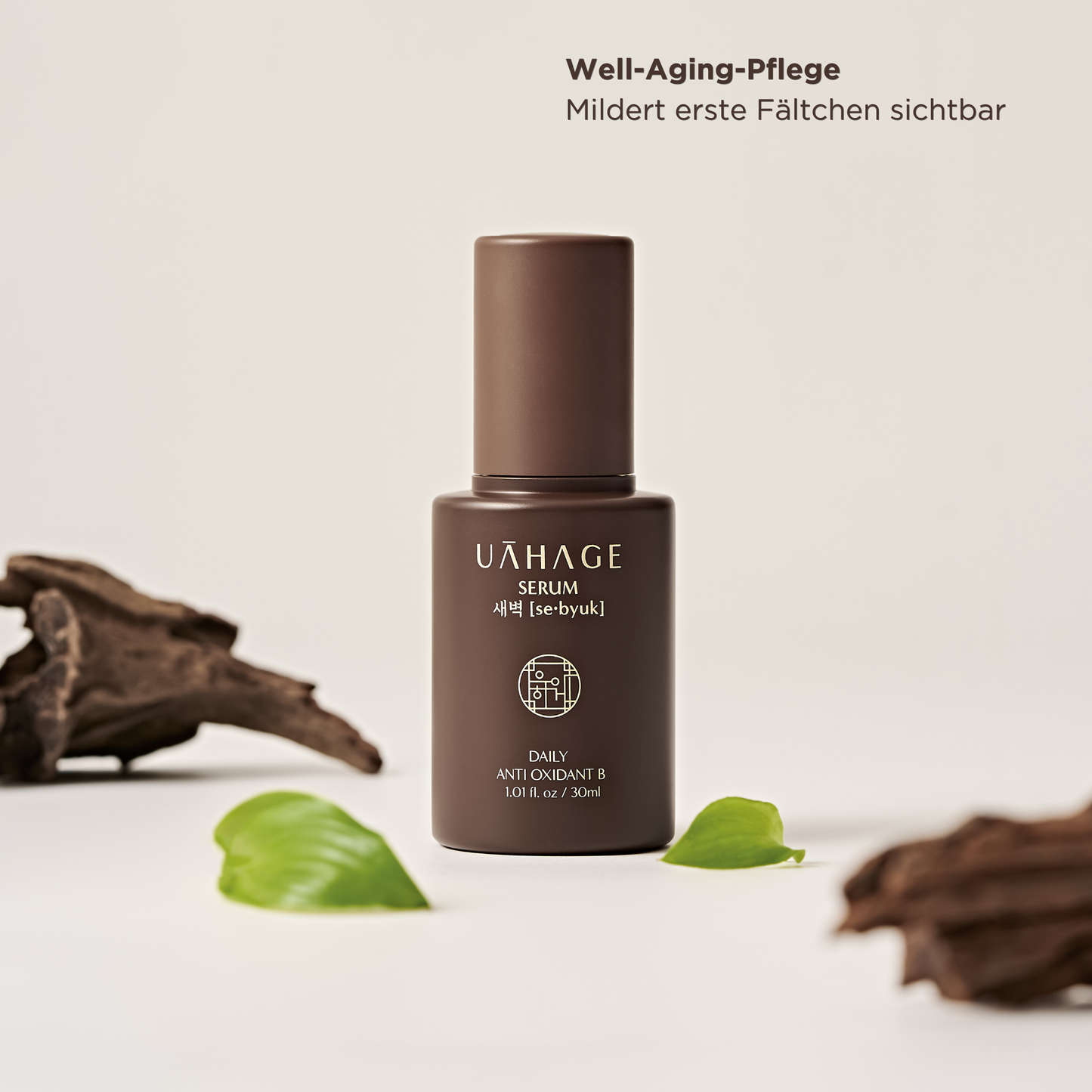 Sebyuk Daily Anti Oxidant B Serum